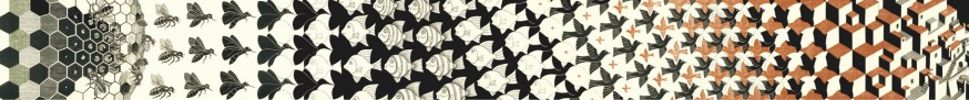 M.C. Escher: Metamorphoses 