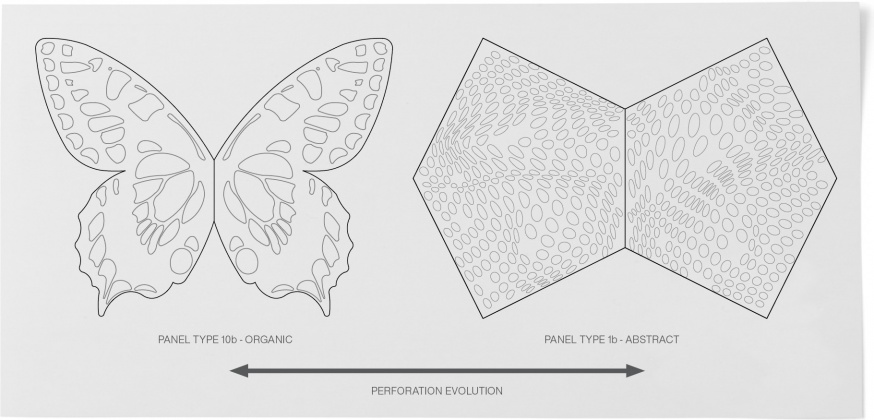 perforation evolution